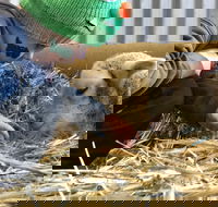 Horsham Agricultural Show - Hotel Accommodation