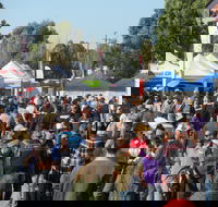 Hunter Valley Caravan Camping 4WD Fish and Boat Show - Hotel Accommodation