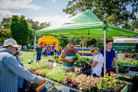 Huskisson Market - Hotel Accommodation 0