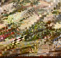 Introduction to Oils with Kim Grivas - Hotel Accommodation