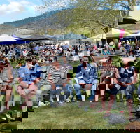 Jamming at Jingellic - Hotel Accommodation