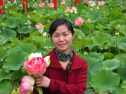 Lotus Flower Season - Hotel Accommodation 1