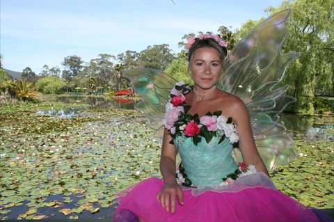 Lotus Flower Season - Hotel Accommodation 2