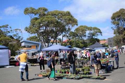 Marine Rescue Ulladulla Wharf Markets - Hotel Accommodation 1