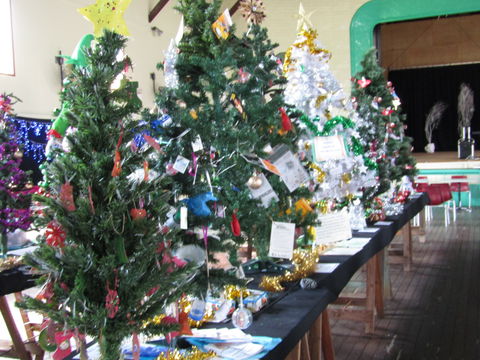 Mount Morgan Christmas Tree Festival - Hotel Accommodation 0