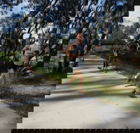 Ned Kelly Chase - Hotel Accommodation