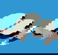 Petrenko's Shostakovich - Morning Symphony - Hotel Accommodation