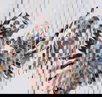 Pulse Perspectives - Hotel Accommodation