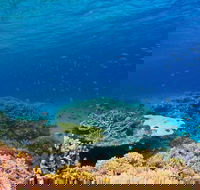 Recovery of the Great Barrier Reef - Hotel Accommodation