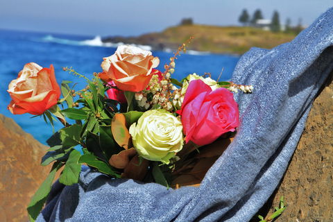 Roses By The Seaside: National Rose Championships And Conference - Hotel Accommodation 0