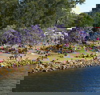 Shoalhaven River Festival - Hotel Accommodation