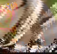 Spring Seasonal Lunch - Hotel Accommodation