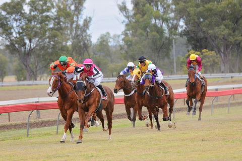 Thangool Races - Hotel Accommodation 0