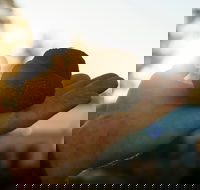 The Truffle Festival - Canberra Region - Hotel Accommodation