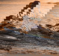 The Bay Games - Jervis Bay - Hotel Accommodation