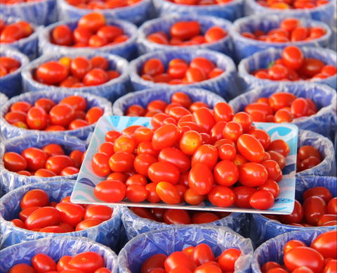 The Entrance Market - Hotel Accommodation 2