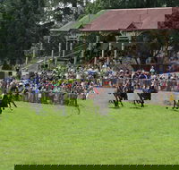 Tumut Boxing Day Races - Hotel Accommodation