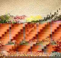 Tumbarumba Spring Flower Festival - Hotel Accommodation