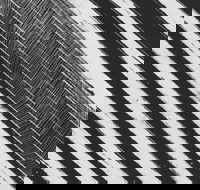 WA Now  Tom Mller Monolith Scores - Hotel Accommodation