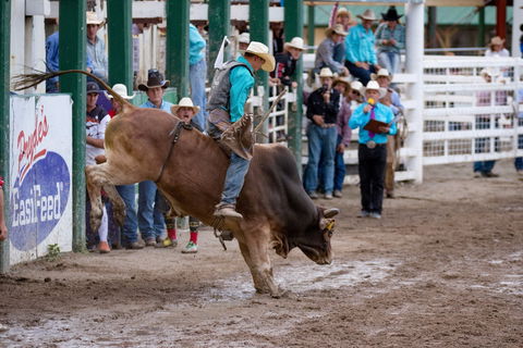 Warwick Rodeo National APRA National Finals And Warwick Gold Cup Campdraft - Hotel Accommodation 1