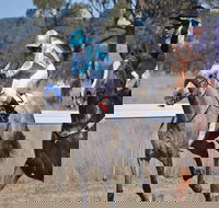 Wean Picnic Races - Hotel Accommodation