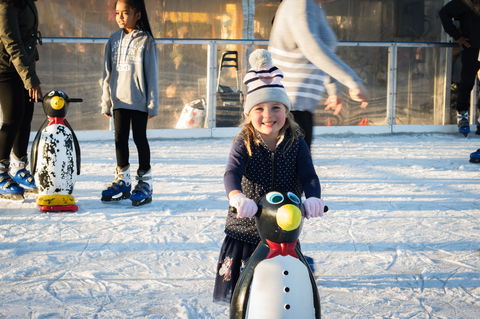 Winterland Festival - Hotel Accommodation 6