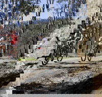 Wollombi Wild Ride Mountain Bike Ride - Hotel Accommodation