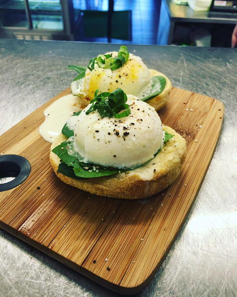 Bermagui Growers Market - Hotel Accommodation 4