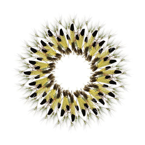 Adelaide Parklands Art Prize  Finalists Exhibition & Sale 2020 - Hotel Accommodation 1