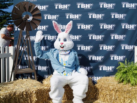 Annual Easter Show *** Postponed *** - Hotel Accommodation 1