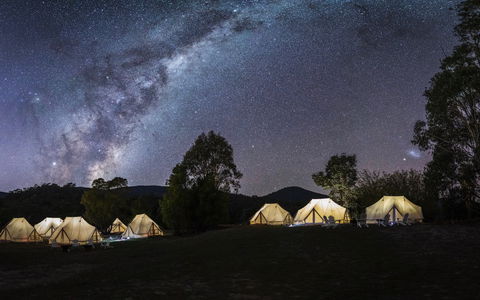 A Wild Night Out - Spring - Hotel Accommodation 6