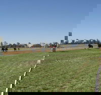 Balranald Races -Derby Day - Hotel Accommodation