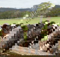 Bandon Grove Farm Tours - Hotel Accommodation