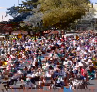 Bathurst Edgell Jog - Hotel Accommodation