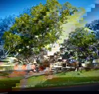 Big Bat Wildlife and Eco Festival - Hotel Accommodation