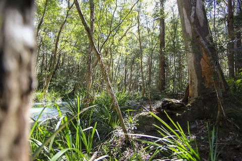 Bottlebutt Bash Trail Run - Hotel Accommodation 0