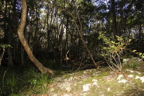 Bottlebutt Bash Trail Run - Hotel Accommodation 1