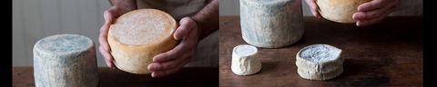 Cheese Making Basics Class - Hotel Accommodation 0