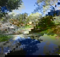 Conservation Volunteers Australia Townsville - Creekwatch - Hotel Accommodation