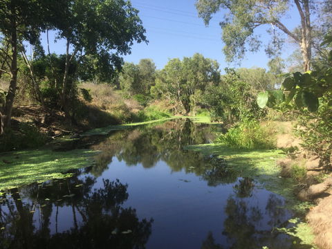 Conservation Volunteers Australia Townsville - Creekwatch - Hotel Accommodation 0