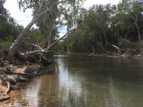 Conservation Volunteers Australia Townsville - Creekwatch - Hotel Accommodation 2