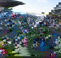 Craft Beer Sunshine Coast Festival - Hotel Accommodation