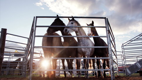 Cunnamulla Fella Festival 2020 - Hotel Accommodation 1