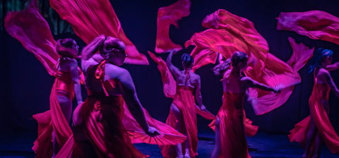 Darwin Fringe Festival - Hotel Accommodation 1