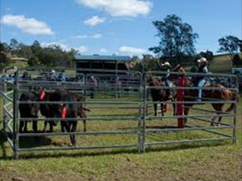 Dungog Team Penning - Hotel Accommodation 0