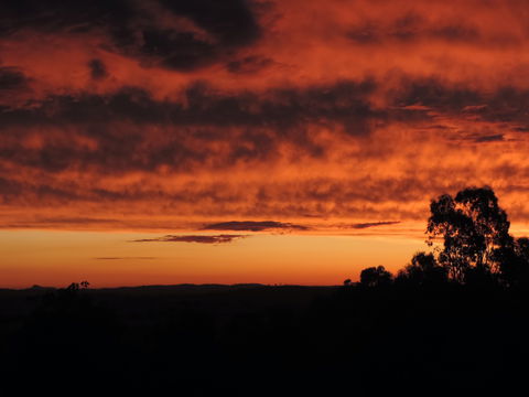 Father's Day At Cottontail Wines - Hotel Accommodation 0
