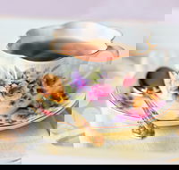 High Tea on the Turf - Hotel Accommodation