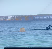 Jervis Bay's Sydney to Hobart Experience - Hotel Accommodation