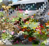 Johns River Country Markets - Hotel Accommodation