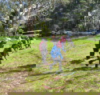 July 2020 Holidays- Forest Adventures Treasure Hunt - Hotel Accommodation